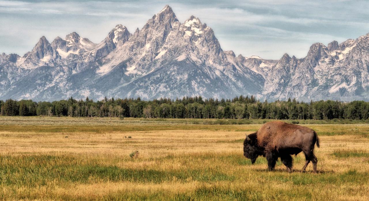 Grand Teton