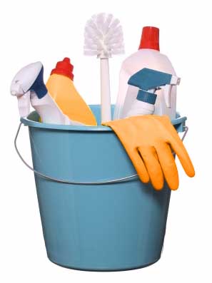 Cleaning Bucket